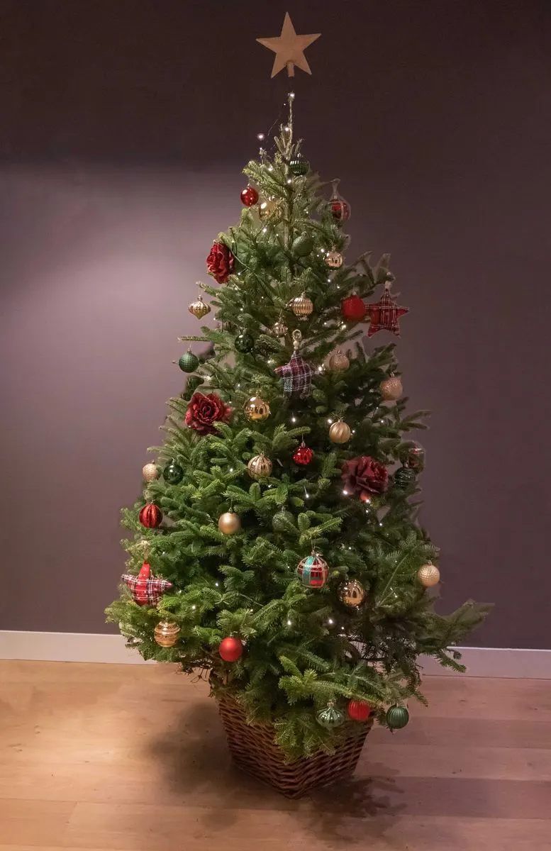 Kerstboom met versierpakket klassiek