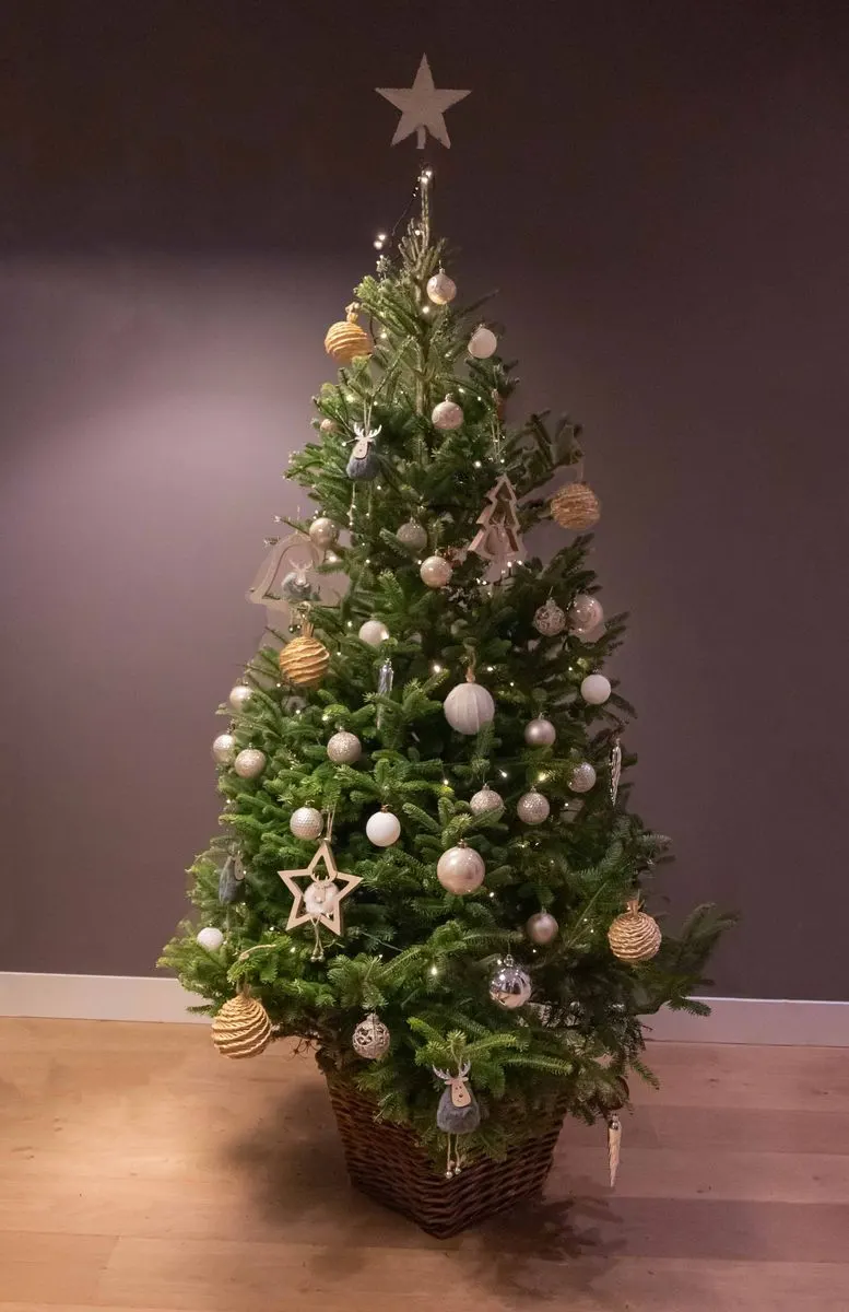 Kerstboom met versierpakket chique